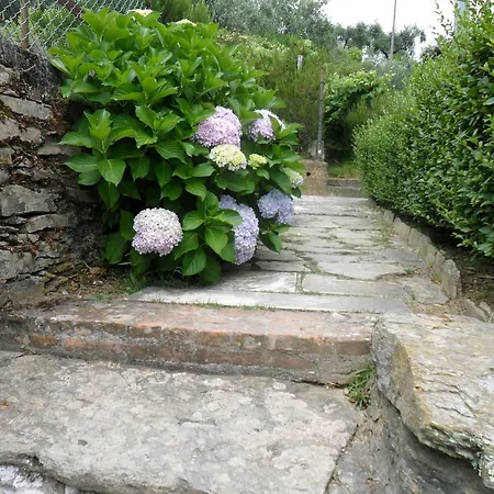 Appartamento Ca Manarin Ameglia